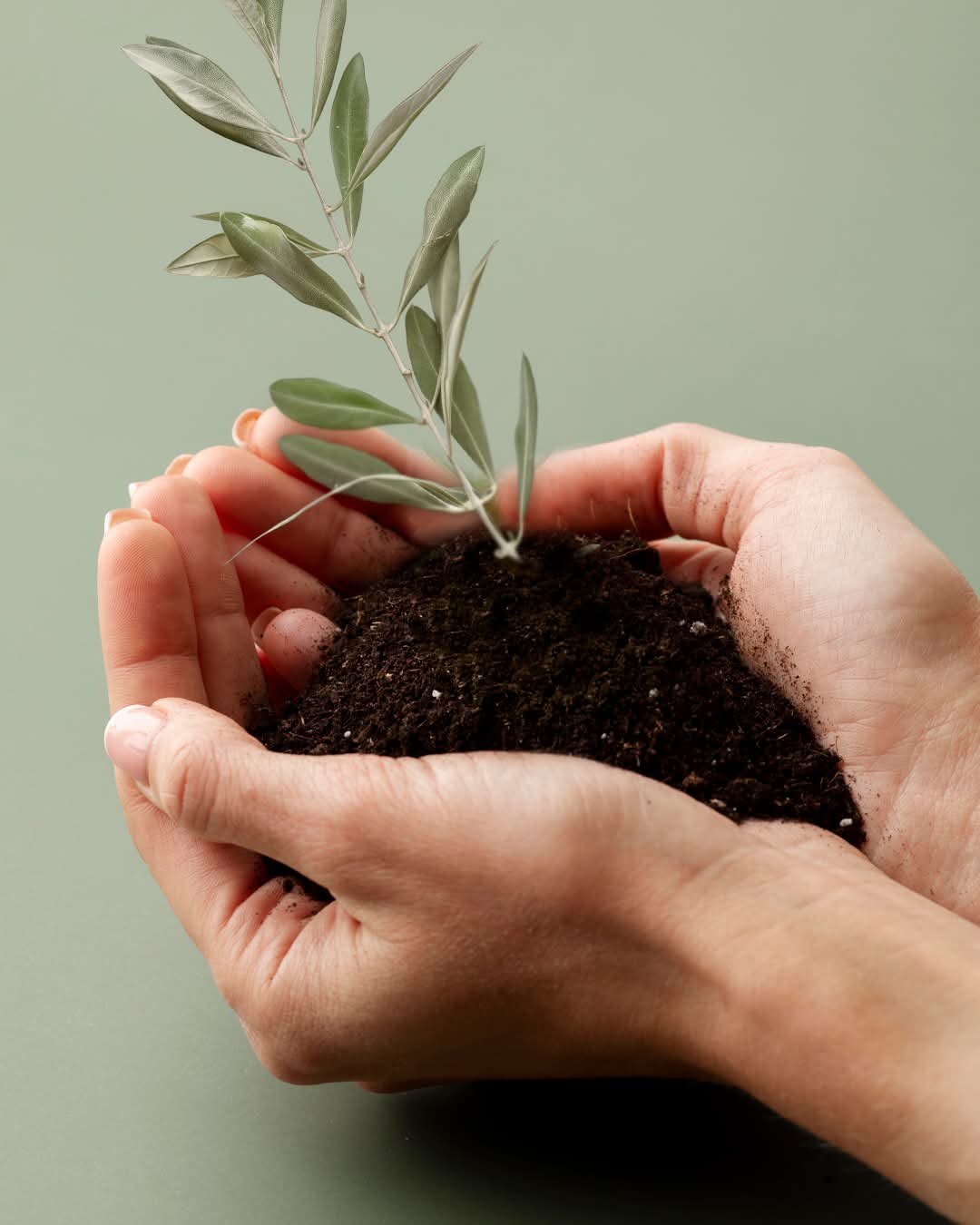 Pure Essence extra virgin